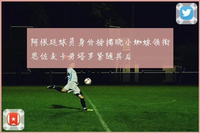 阿根廷球员身价榜揭晓小蜘蛛领衔恩佐麦卡劳塔罗紧随其后