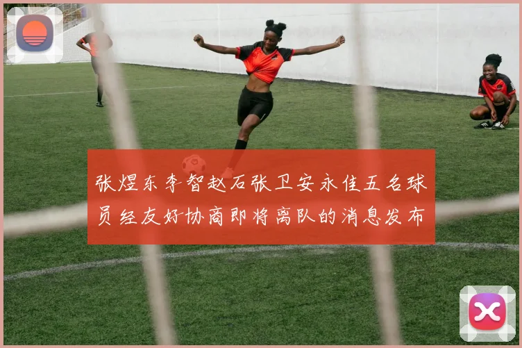 张煜东李智赵石张卫安永佳五名球员经友好协商即将离队的消息发布