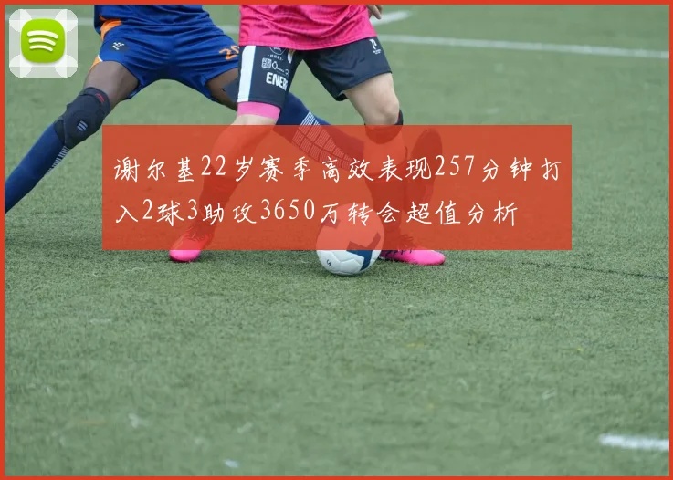 谢尔基22岁赛季高效表现257分钟打入2球3助攻3650万转会超值分析