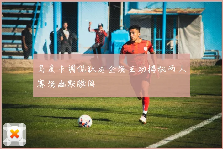 乌度卡调侃狄龙全场互动揭秘两人赛场幽默瞬间