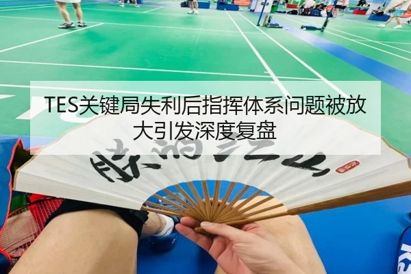 TES关键局失利后指挥体系问题被放大引发深度复盘 | xingkong